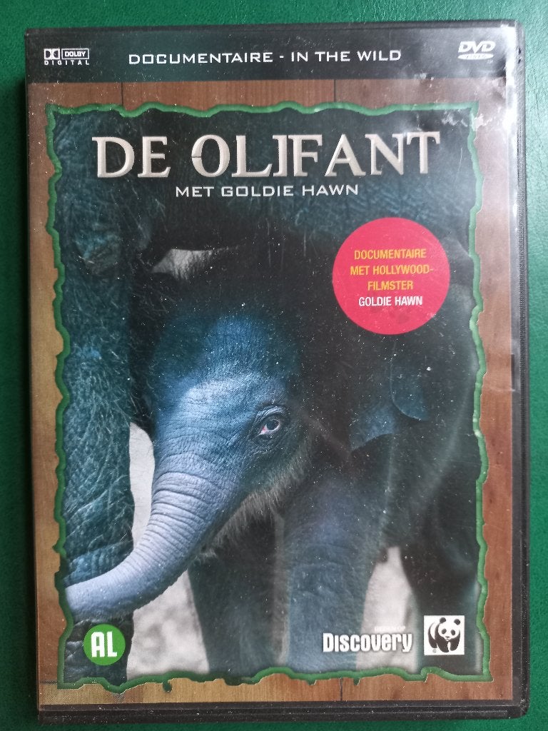 De olifant, Engels, Alle leeftijden, Nederlands, Natuur