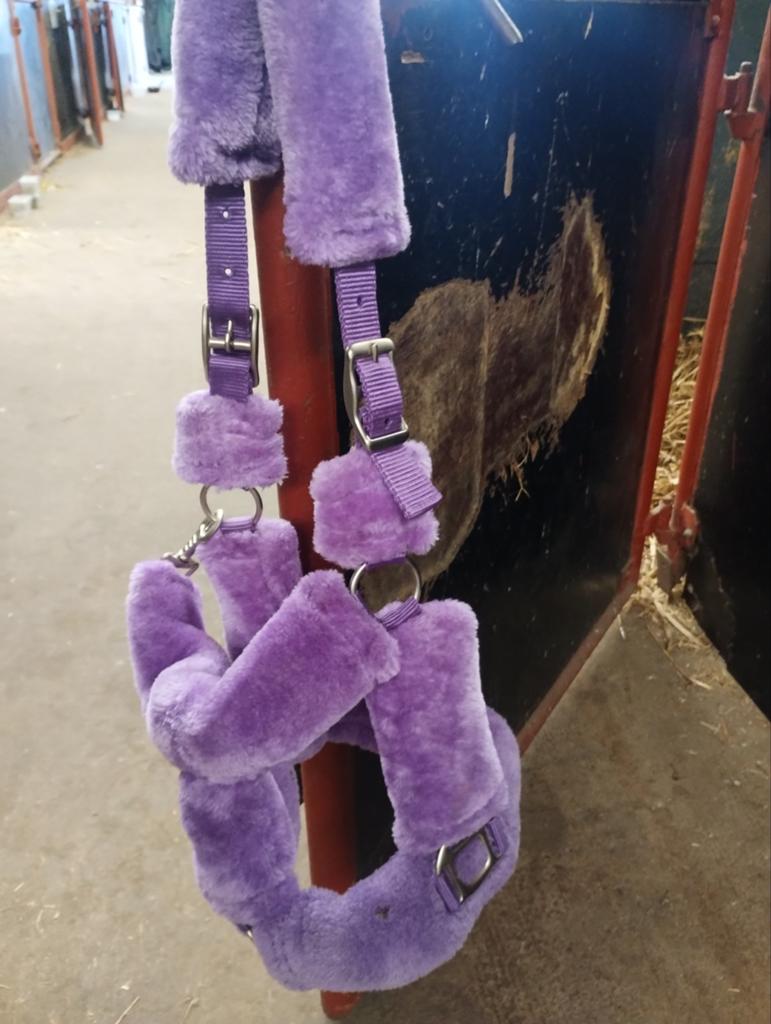 Paars fluffy halster., Ophalen of Verzenden, Zo goed als nieuw