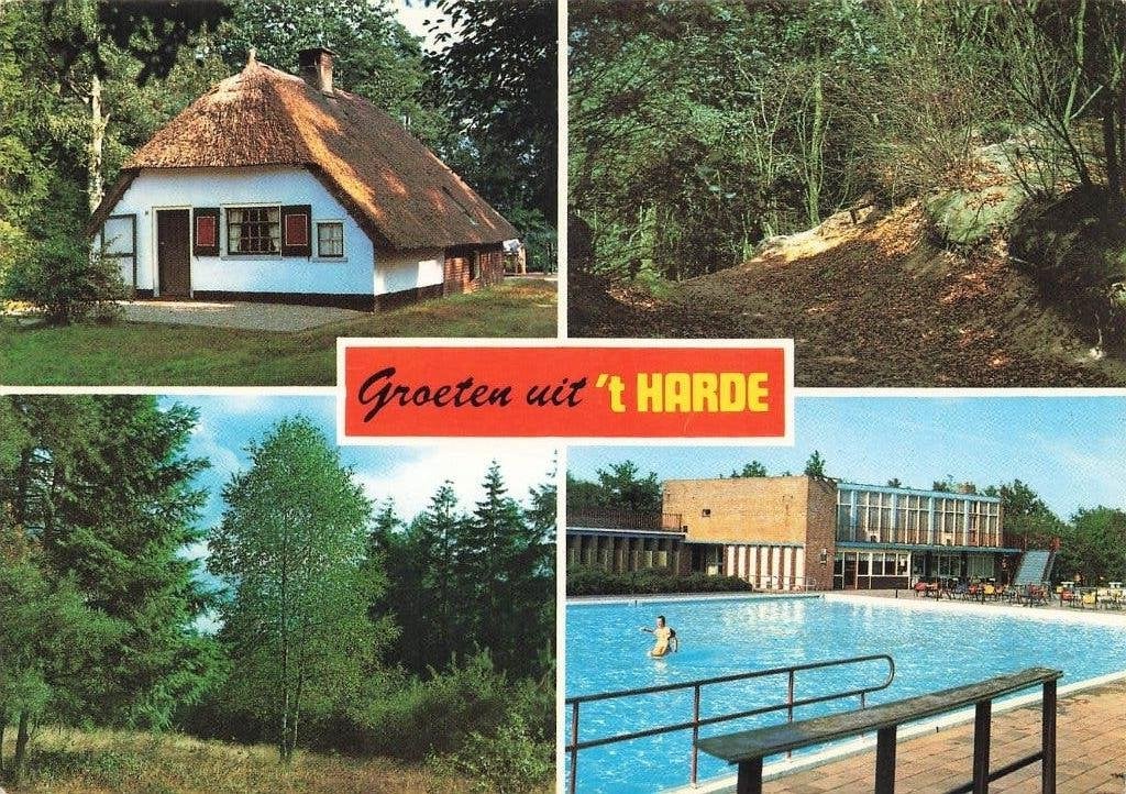 Groeten uit 't Harde, Ophalen of Verzenden, 1980 tot heden, Gelopen, Gelderland