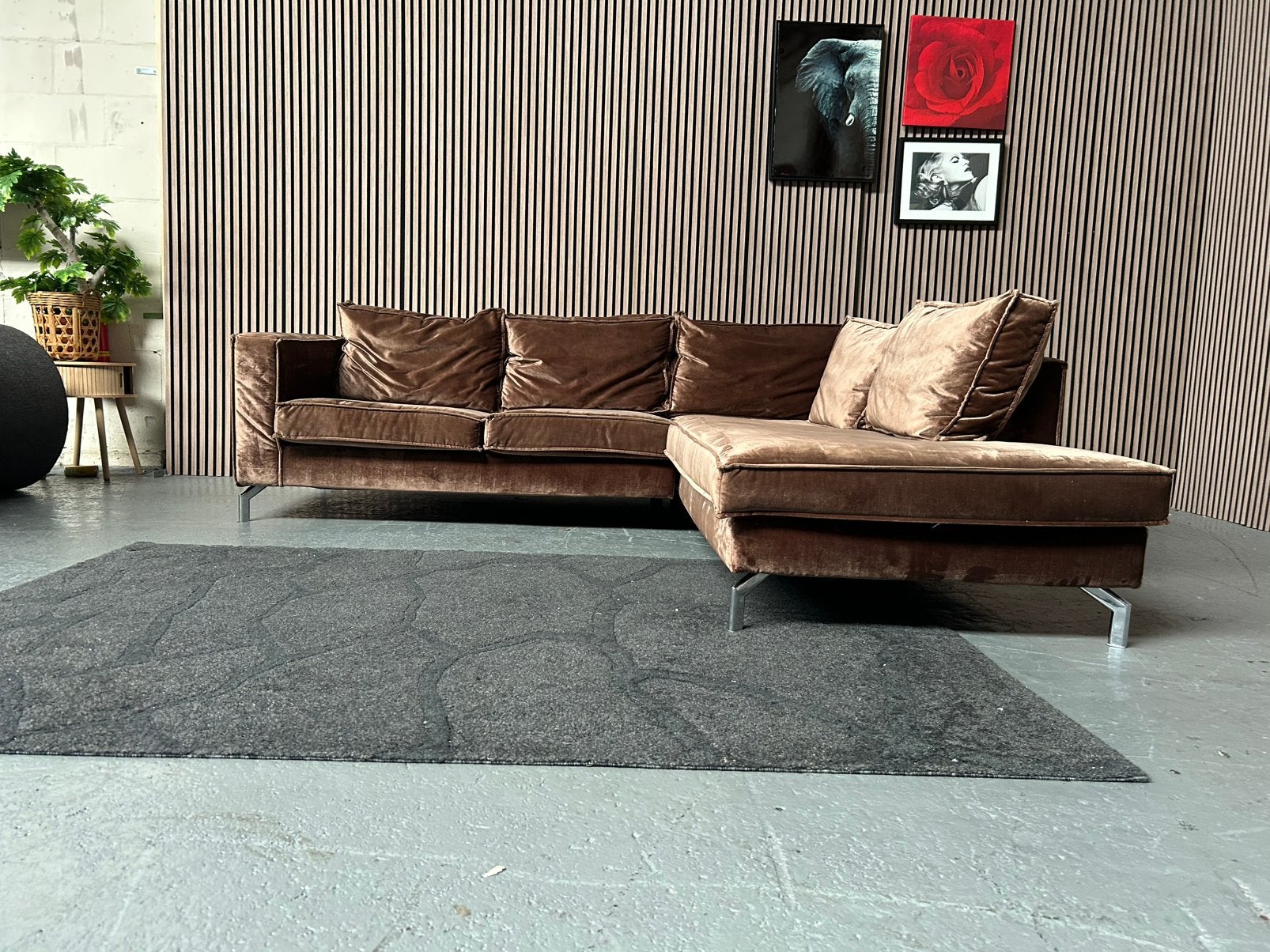 GRATIS LEVERING Velvet Hoekbank Bruin 254X225 GEREINIGD, 250 tot 300 cm, Bruin velvet hoekbank, Hoekbank, Ophalen of Verzenden