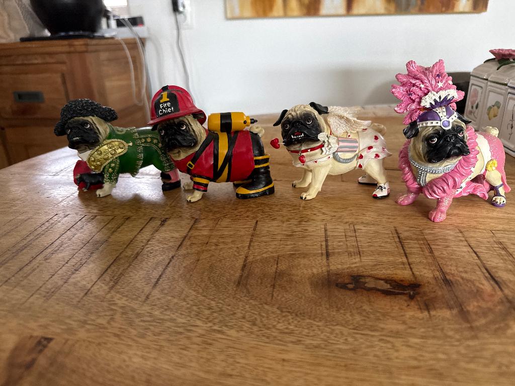 Mops hondjes, Ophalen, Zo goed als nieuw, Dier