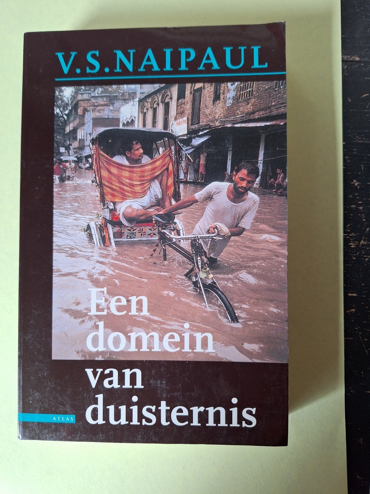 V.S. Naipaul - Een domein van duisternis, Ophalen of Verzenden, Zo goed als nieuw, V.S. Naipaul, Europa