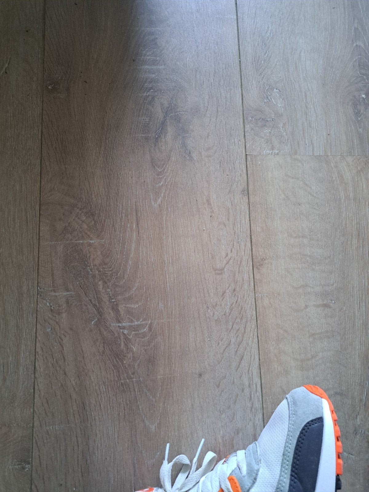 laminaat vloer 8mm dik ongeveer 60 m2  brede planken 25cm, Ophalen, 50 tot 150 cm, 10 m² of meer, 10 tot 30 cm