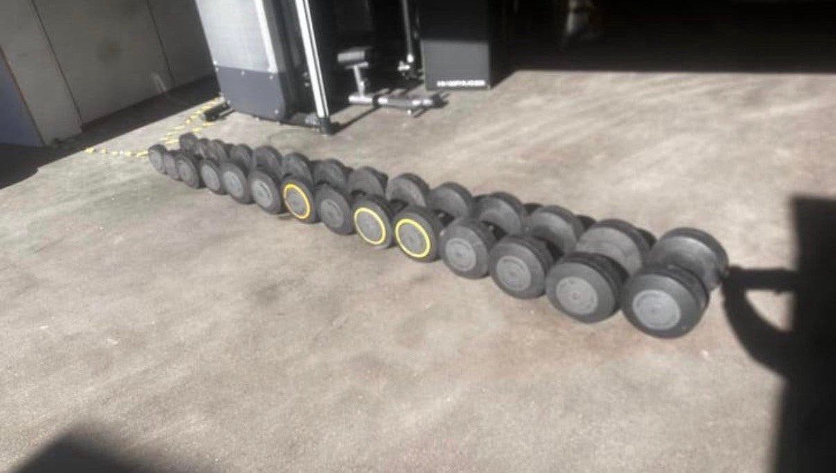 Technogym Dumbells 12kg t/m 40kg, Ophalen, Gebruikt, Dumbbell