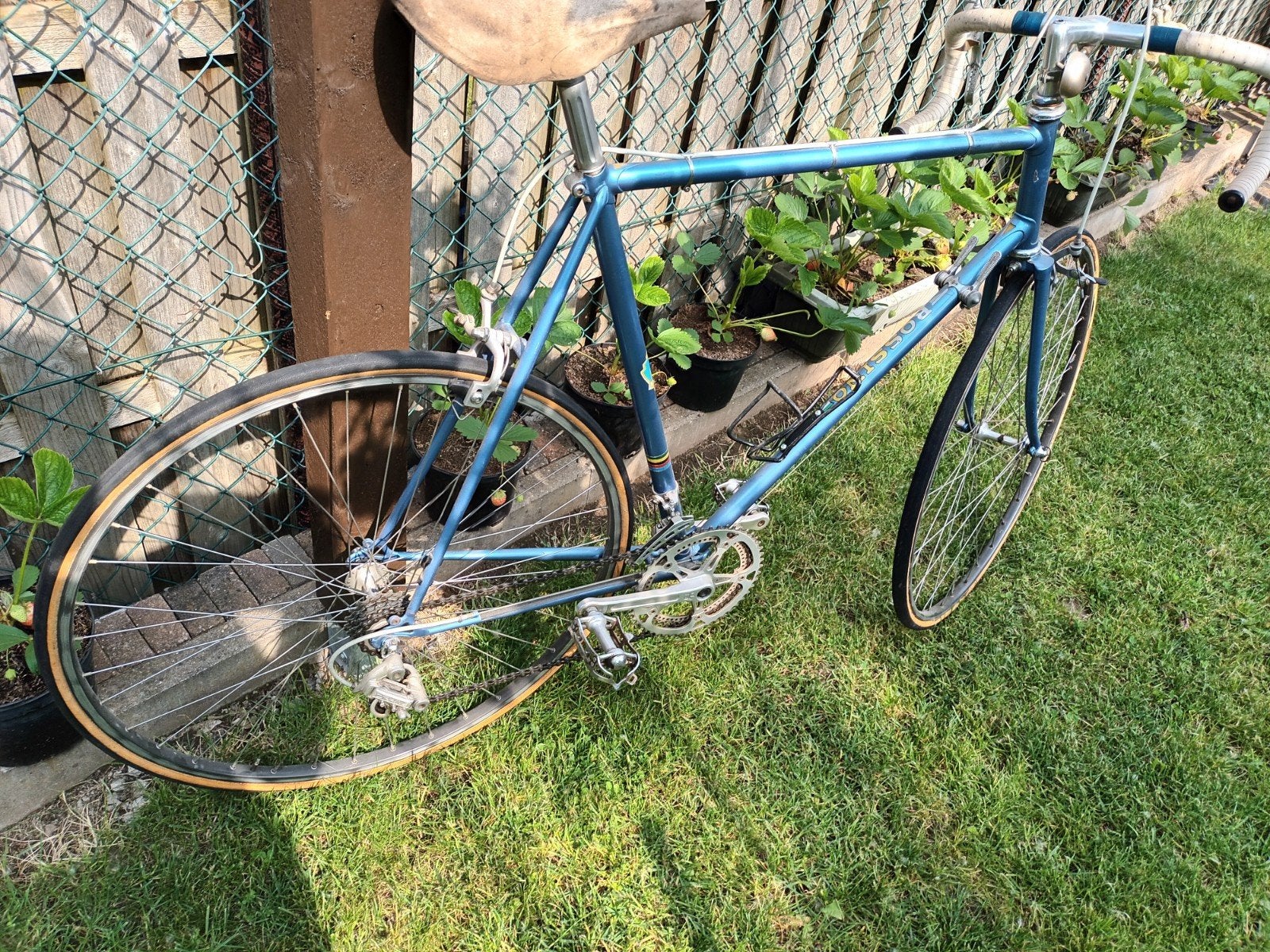 Retro koersfiets, Overige merken, 28 inch, 10 tot 15 versnellingen, Velgrem