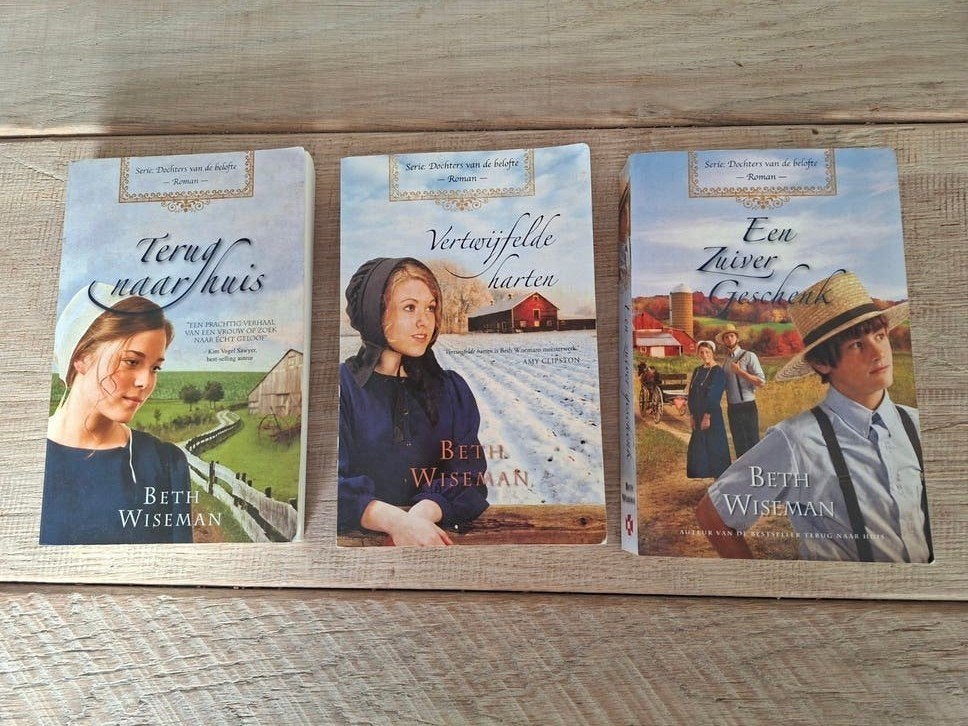 Beth Wiseman 3 delen van de serie 'Dochters van de belofte', Ophalen of Verzenden, Gelezen, Beth Wiseman, Nederland