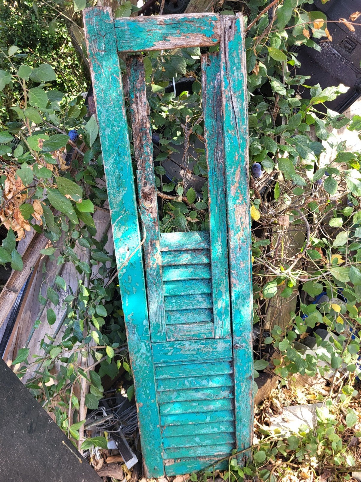 houten vintage louvre-luik (opknapper, geen houtworm), Ophalen