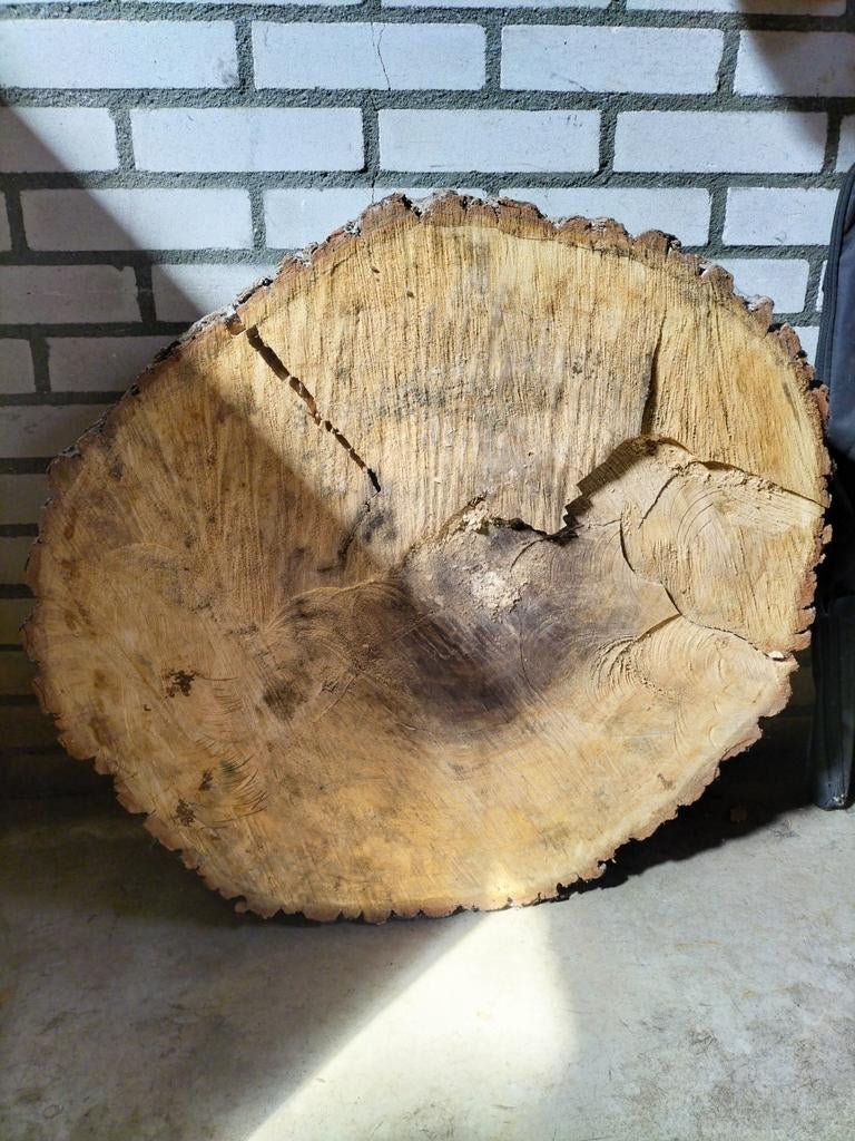 Grote boomschijf, massief hout, decoratief, Doe-het-zelf en Verbouw, Ophalen, Gebruikt, Overige typen, 50 mm of meer