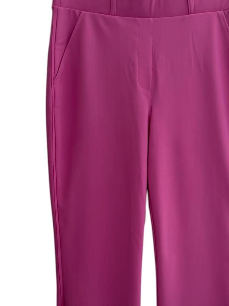 Studio Anneloes broek L (Anna), Kleding | Dames, Ophalen of Verzenden, Zo goed als nieuw, Roze, Lang