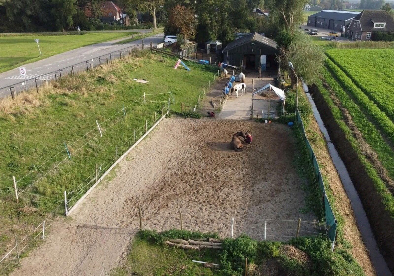 24/7 in vrijheid op mini pp in Oudemolen, Weidegang, 2 of 3 paarden of pony's
