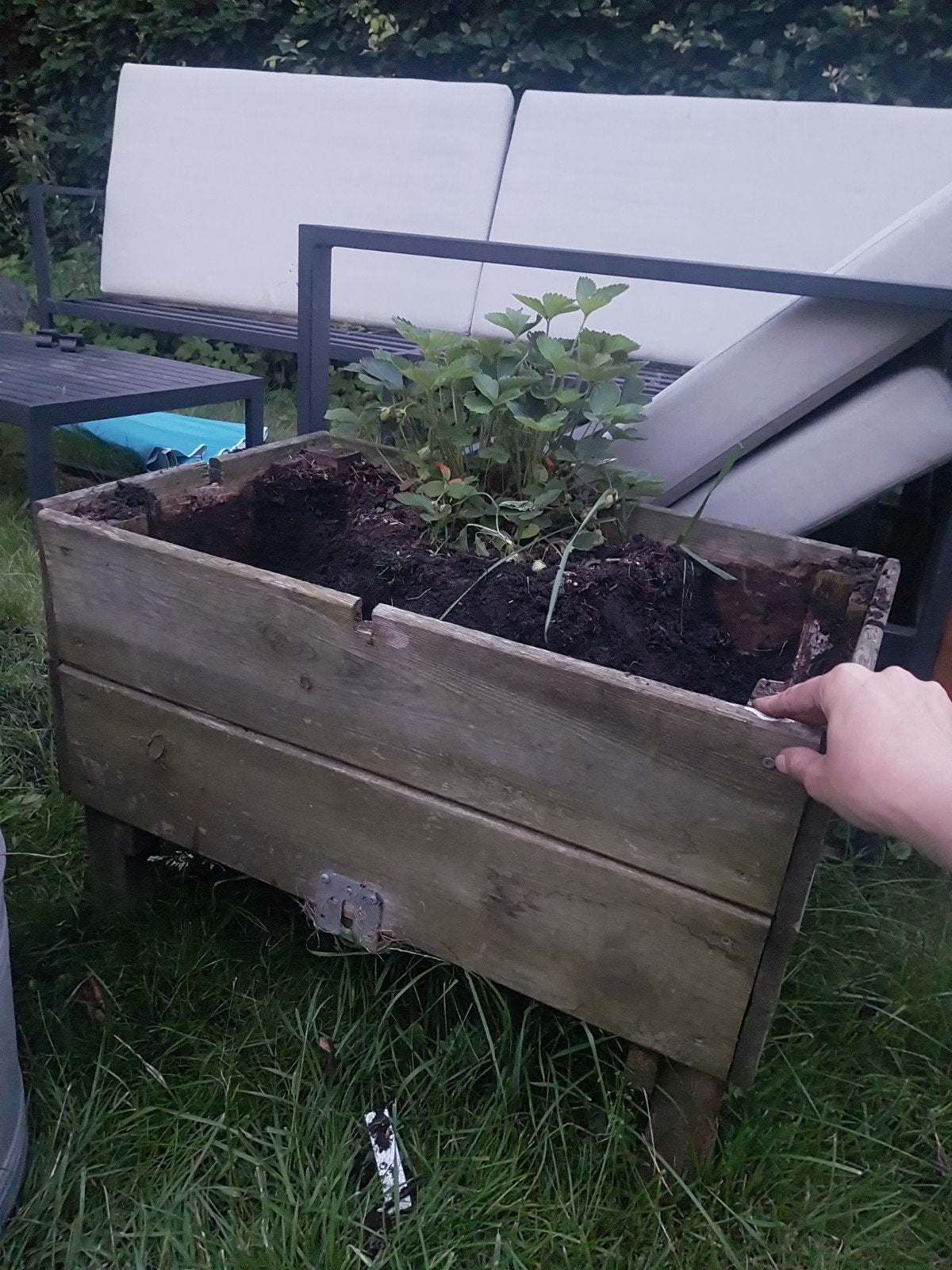 Houten plantenbak moestuinbak voor aardbeien of kruiden, Tuin en Terras, Gebruikt, Ophalen of Verzenden, Balkon, 60 tot 100 cm