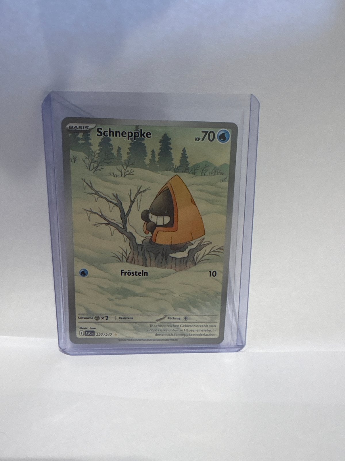 Snorunt (Schneppke), Ophalen of Verzenden, Nieuw, Losse kaart