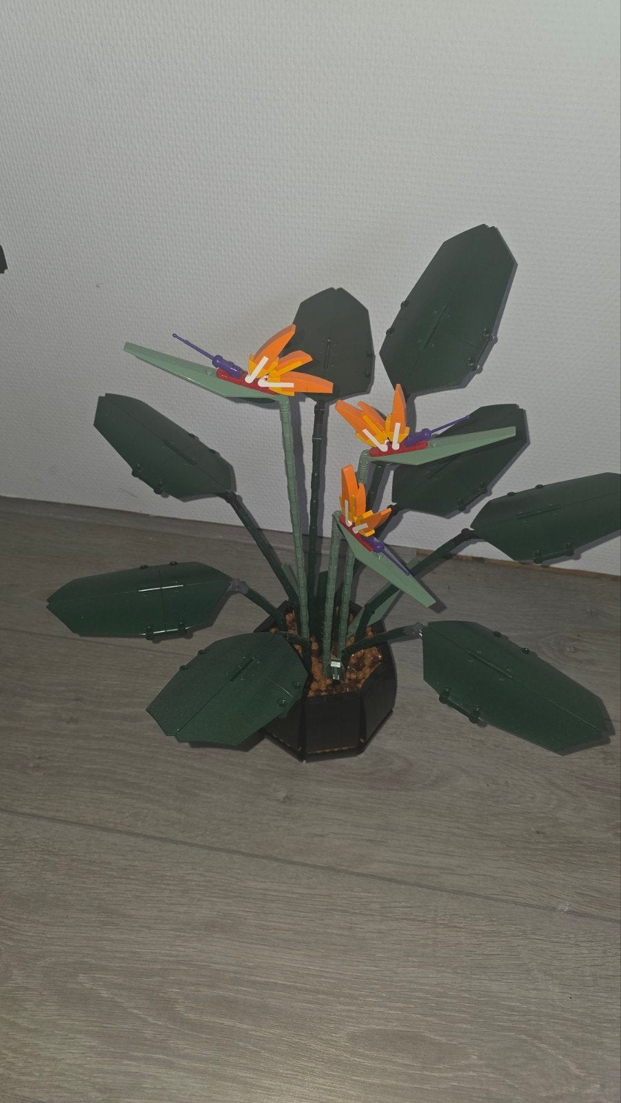 lego bird of paradise 10289, Overige thema's, Lego, Compleet, Ophalen of Verzenden