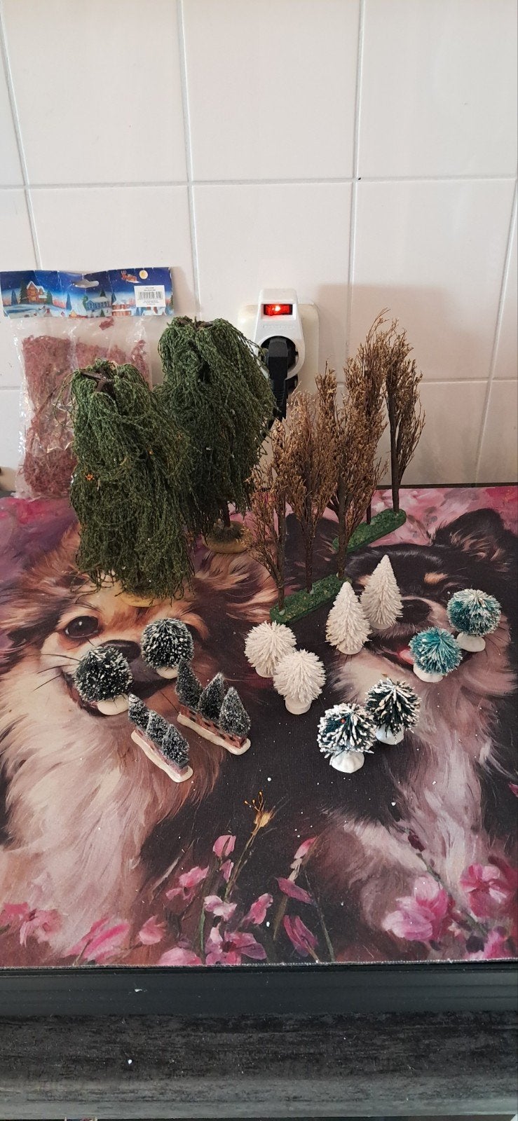 verschillende bomen + mini struiken, Ophalen of Verzenden