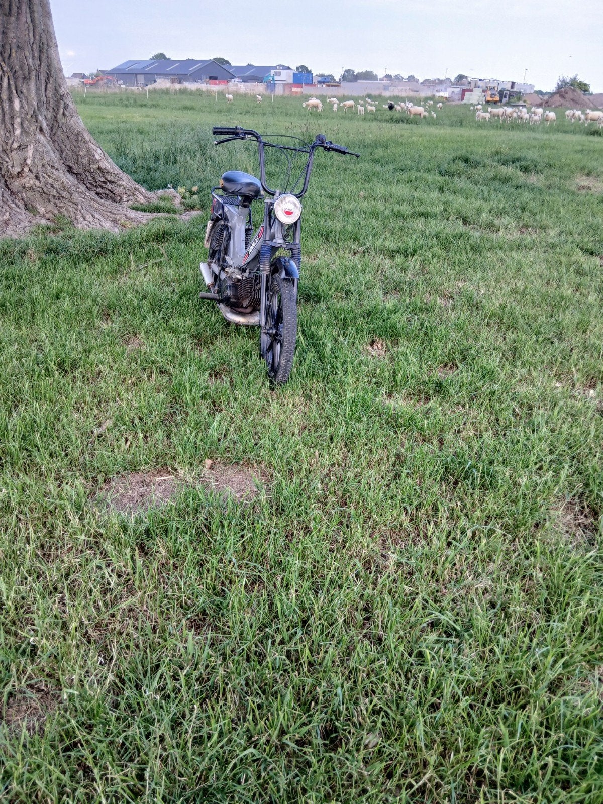 Mooie tomos s25, Fietsen en Brommers, Overige merken, Ophalen of Verzenden, Zo goed als nieuw, 2 versnellingen