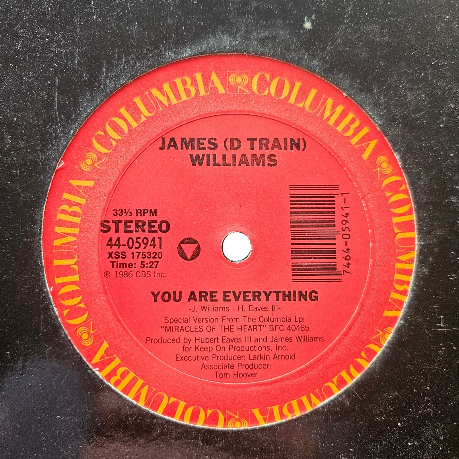James D Train Williams - You Are Everything 12inch Maxisingl, Ophalen of Verzenden, 12 inch