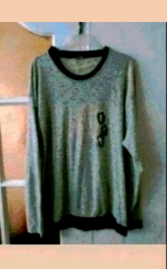 Blue bird trui, Ophalen of Verzenden, Zo goed als nieuw, Maat 56/58 (XL)