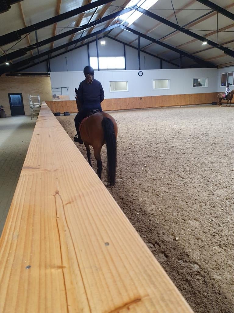 Verzorgpony/ of bij rijpony gezocht, Ophalen of Verzenden