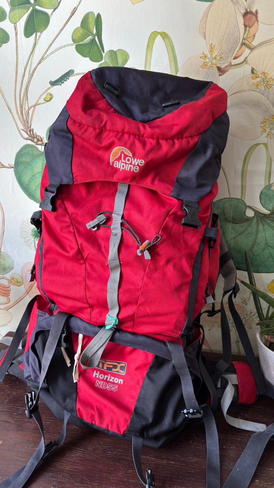 Lowe alpine dames backpack 55L, 40 cm of meer, Zo goed als nieuw, 60 cm of meer, Ophalen