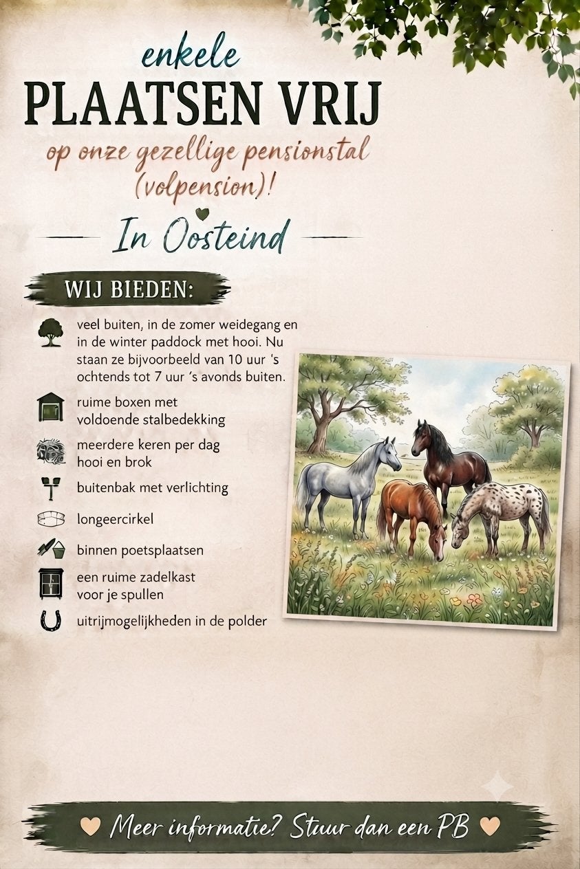 Oosteind, volpension boxen vrij, Dieren en Toebehoren, Weidegang