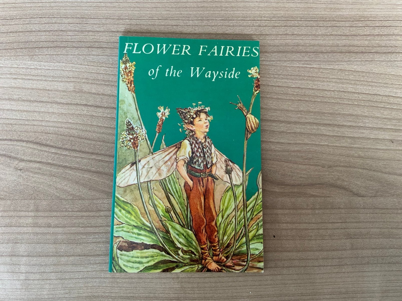 Flower faries, Ophalen of Verzenden, Zo goed als nieuw