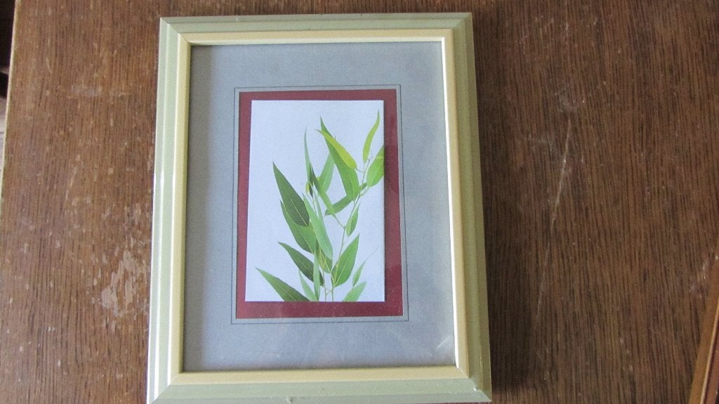 ets natuur, 2000 tot heden, 30 cm, Overige technieken, Ophalen of Verzenden