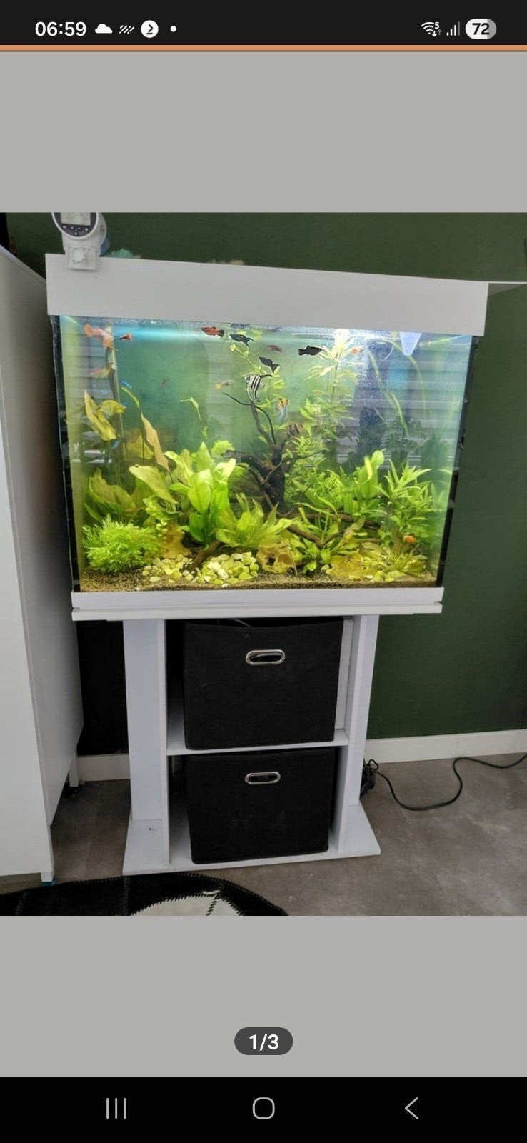 Mooi aqarium kras vrij, Vis