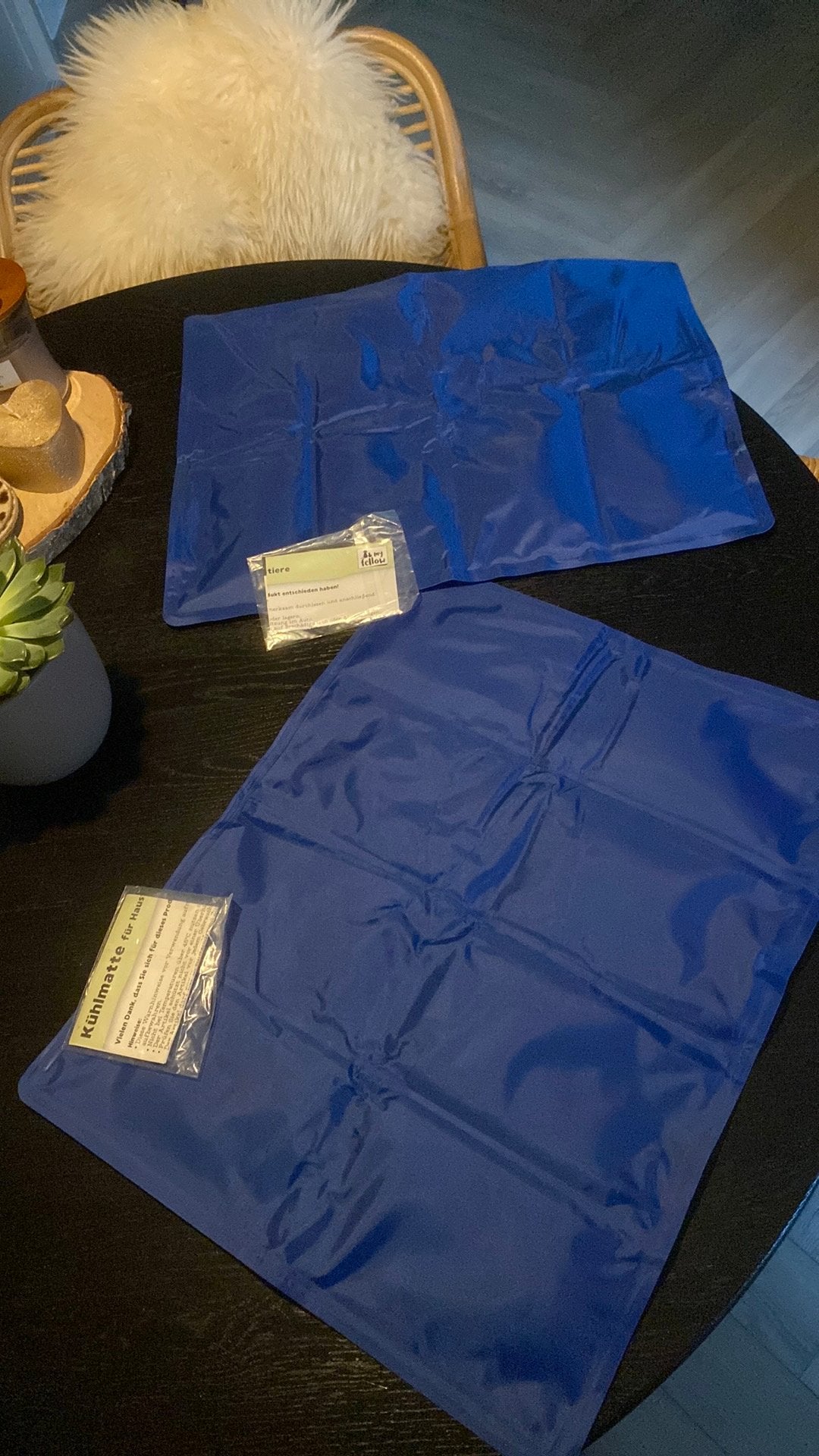 Koel mat voor kleine hond of kat, Ophalen of Verzenden, Nieuw