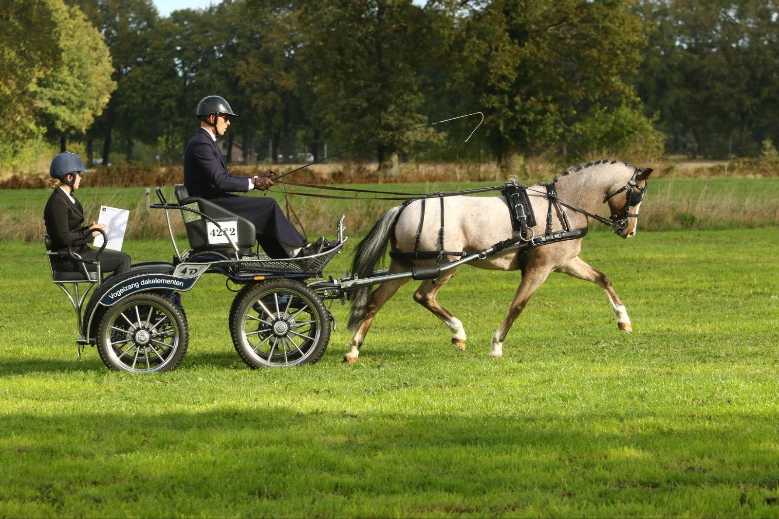 Mooie goed onderhouden marathonwagen, Dieren en Toebehoren, Rijtuigen en Koetsen, Zo goed als nieuw, Marathonwagen, Pony