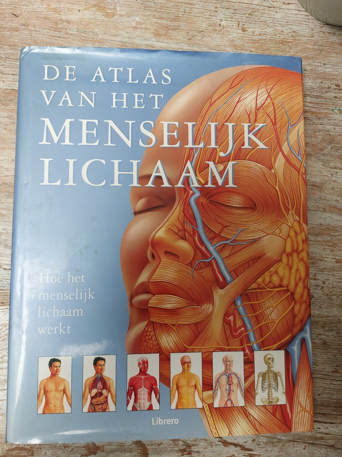De Atlas van het Menselijk Lichaam - Anatomieboek, Boeken, Ophalen of Verzenden, Zo goed als nieuw, Librero, Natuurwetenschap