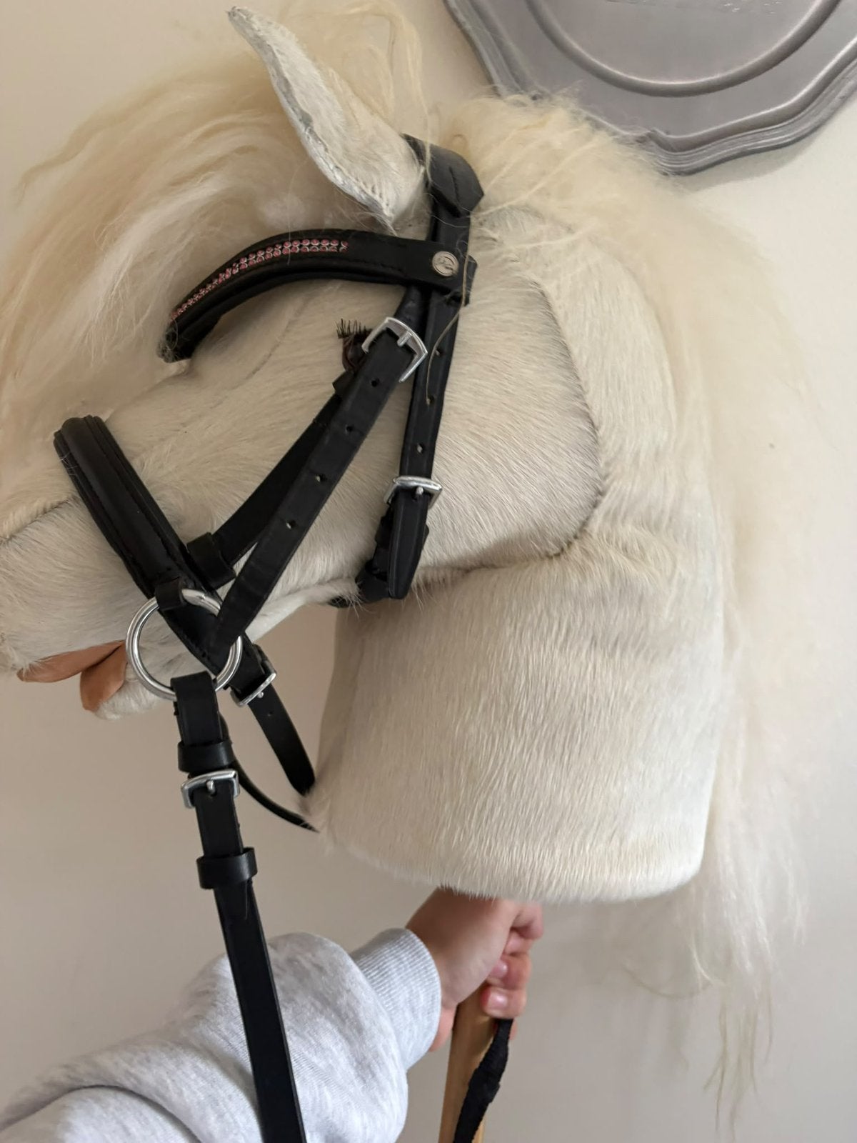 Hobby horse, Ophalen of Verzenden, Gebruikt, Hoofdstel