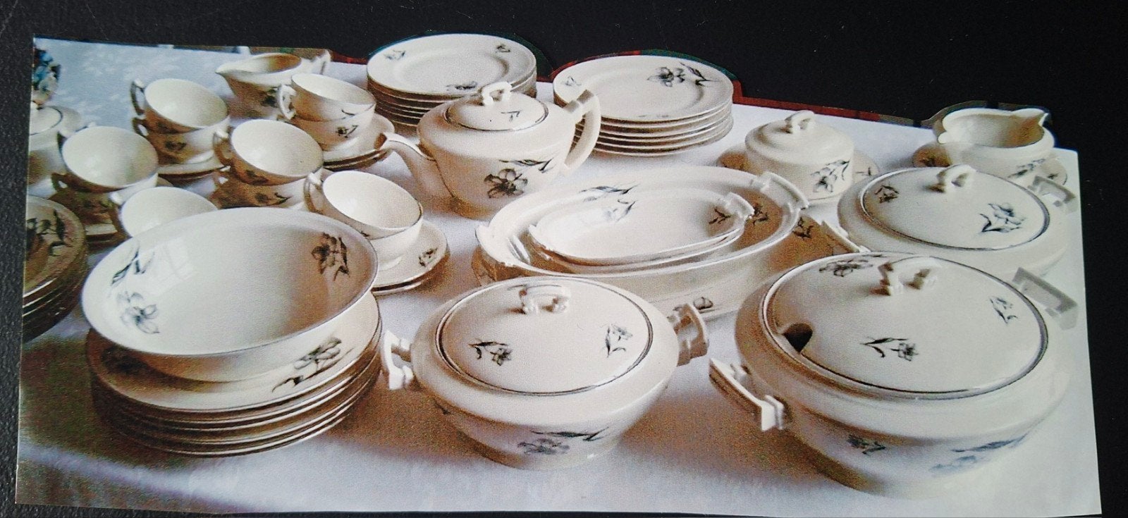 49 delig compleet servies, Ophalen