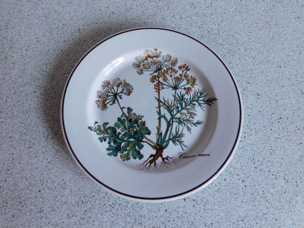 Bord 17 cm. Botanica Villeroy & Boch, Huis en Inrichting, Keuken | Servies, Villeroy & Boch, Ophalen of Verzenden, Zo goed als nieuw
