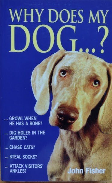 Why does my dog...?, Boeken, Dieren en Huisdieren, Ophalen of Verzenden, Zo goed als nieuw, Honden, John Fisher