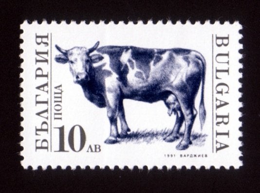 Bulgarije, Huisdier, Koe, Mi. 3885 postfris, Verzenden, Postfris, Dier of Natuur