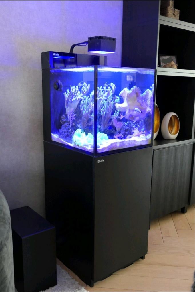 Complete Zeeaquarium Set - Red Sea Nano G2 XL zwart - ZGAN, Dieren en Toebehoren, Vissen | Aquaria en Toebehoren, Ophalen, Red Sea