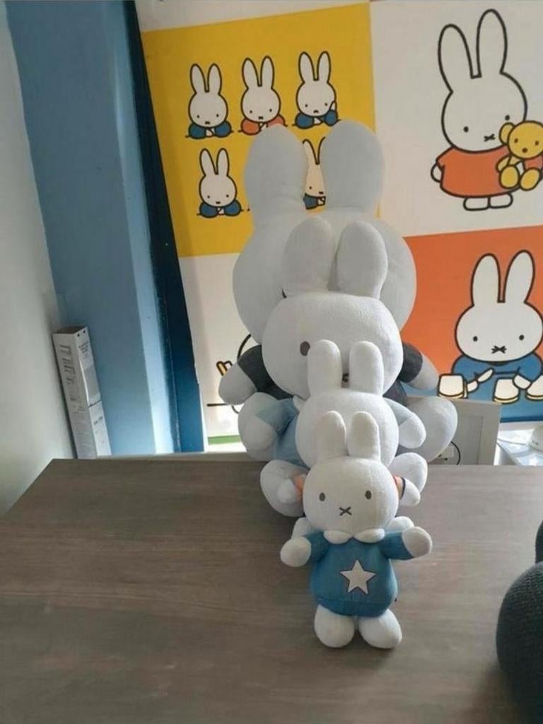 Grote Nijntje verzameling: knuffels, schilderijen, decoratie, Kinderen en Baby's, Speelgoed | Knuffels en Pluche, Overige merken