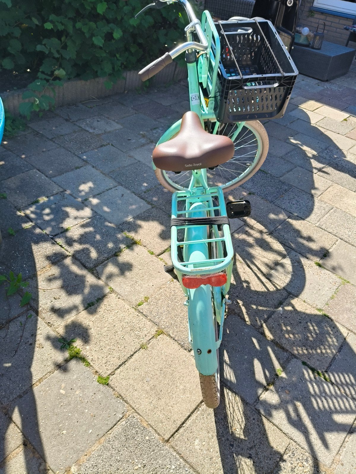 Mintgroene fiets, Terugtraprem, Gebruikt, Ophalen of Verzenden, 26 inch of meer