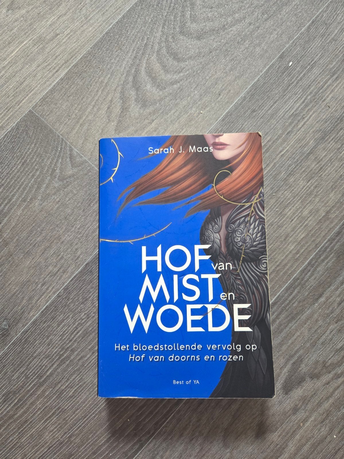 hof van mist en woede van sarah j maas, Boeken, Ophalen of Verzenden, Zo goed als nieuw