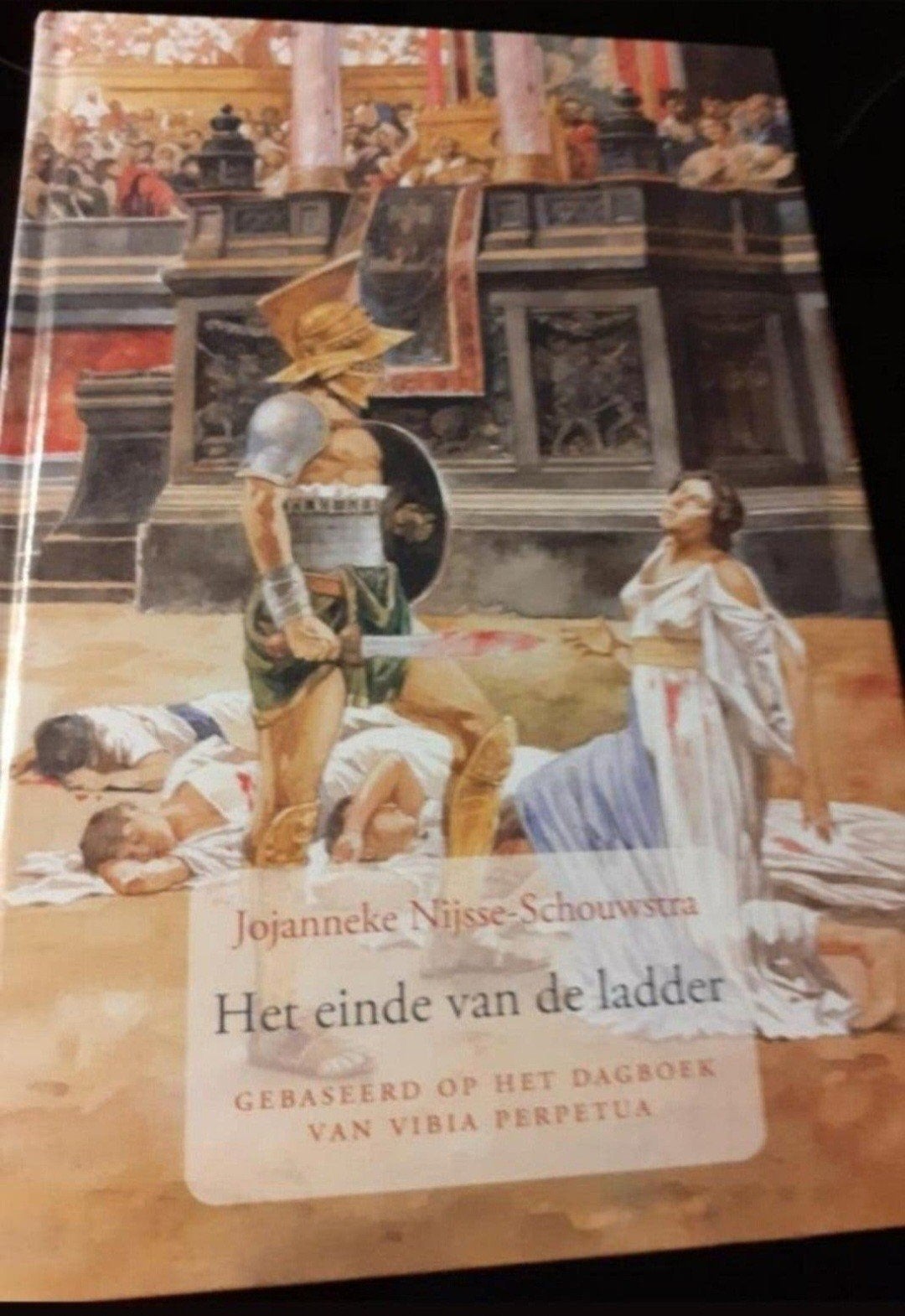 Het einde van de ladder - Jojanneke Nijs-Schouwstra, Ophalen of Verzenden, Gelezen, Jojanneke Nijs-Schouwstra