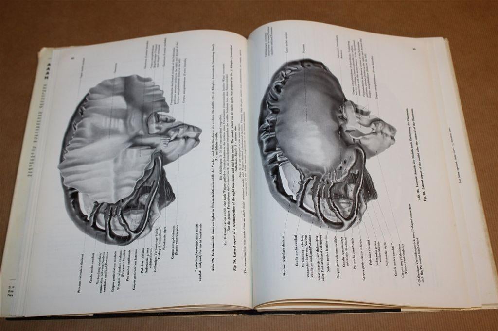 Vintage Anatomische Atlas [1972] — Zenuw- & Vaatstelsel, Ophalen of Verzenden, Gelezen, Natuurwetenschap