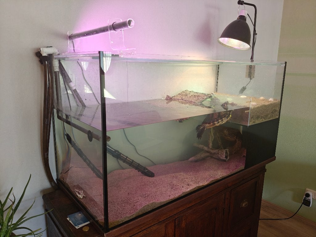 Schildpaddenaquarium, Ophalen, Gebruikt, Terrarium of Paludarium