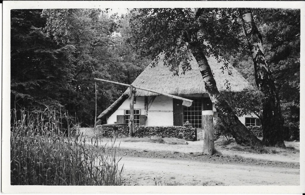 Lichtenvoorde, Gelders los hoes, waterput, berken, Verzenden, 1940 tot 1960, Ongelopen, Gelderland