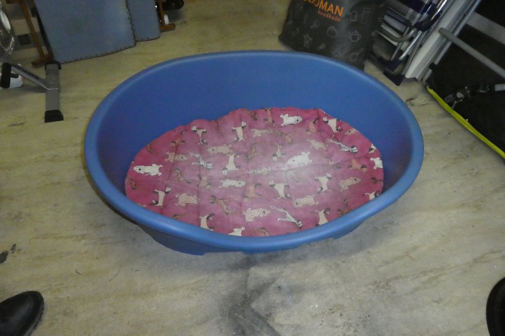Hondenmand Kunstof incl kussen, Ophalen, Gebruikt, Polyester