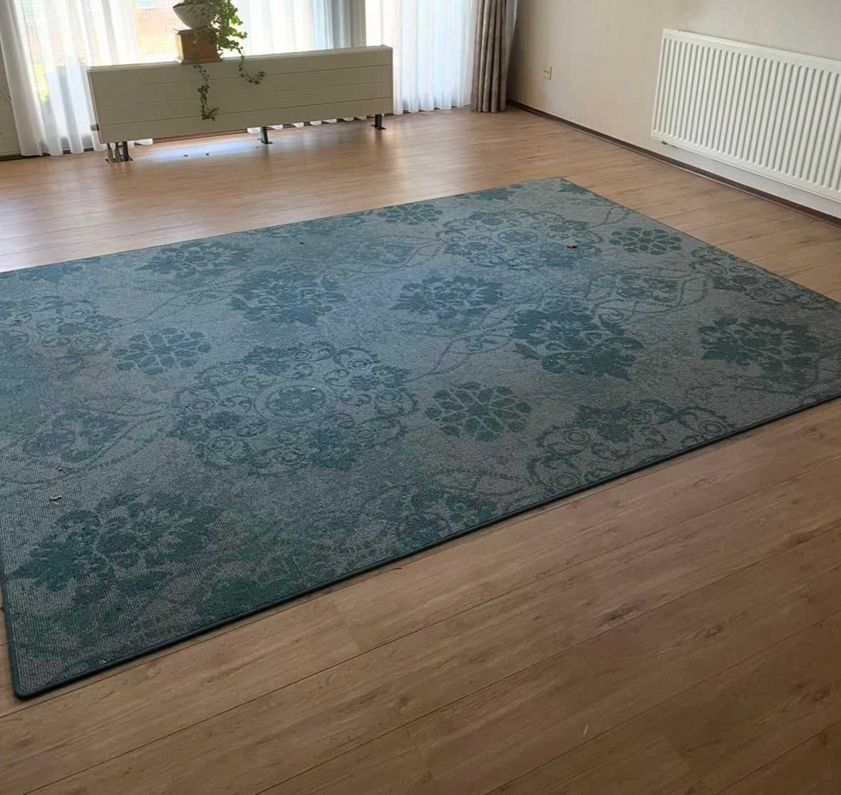 Desso vloerkleed, Ophalen, Zo goed als nieuw, Laminaat