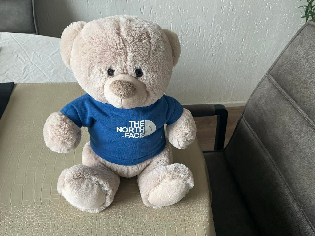 Knuffelbeer met kleding (The North Face, Stone Island), Beer, Ophalen of Verzenden, Zo goed als nieuw, Middelgroot (20 tot 80 cm)