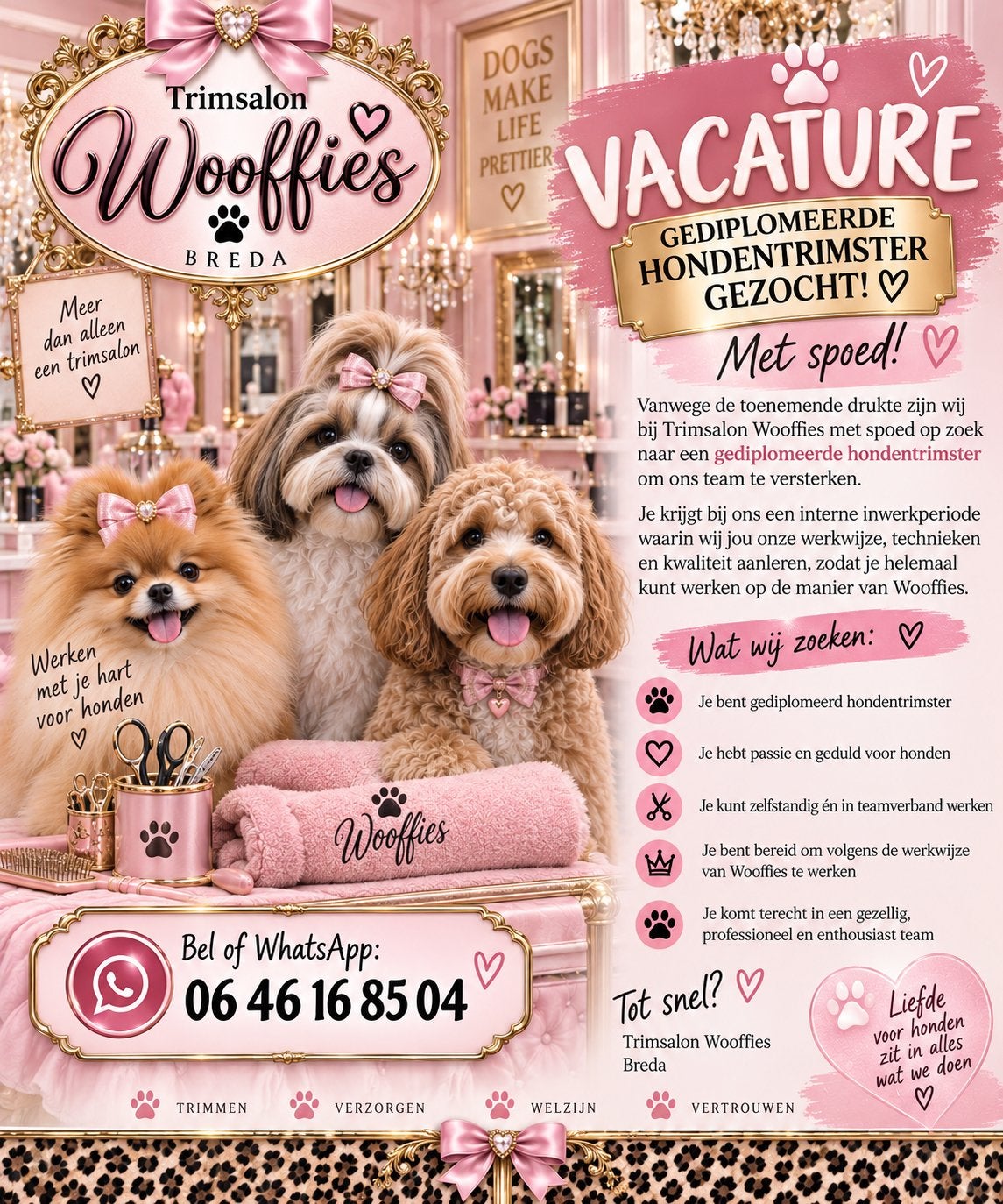 Honden Trimmer/Trimster gezocht, Diensten en Vakmensen, Trimmen of Verzorging