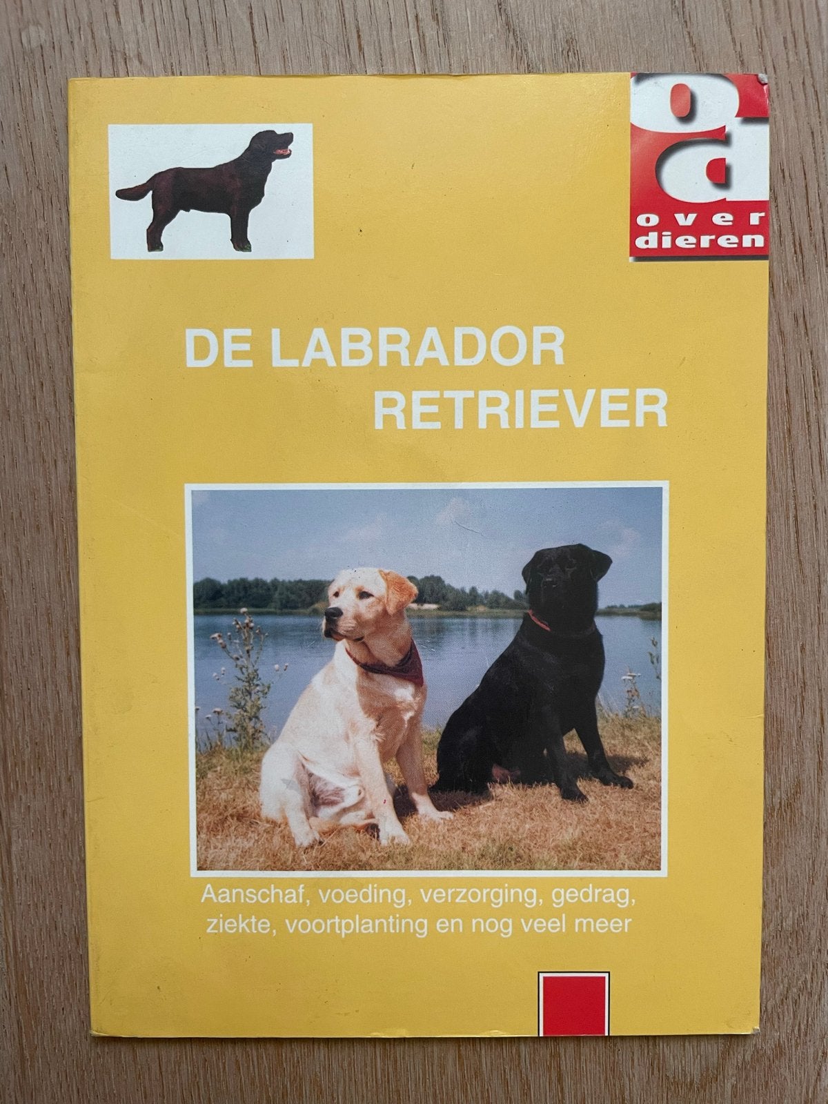 Over dieren: De Labrador Retriever ISBN 9058210049, Ophalen of Verzenden, Zo goed als nieuw, Honden