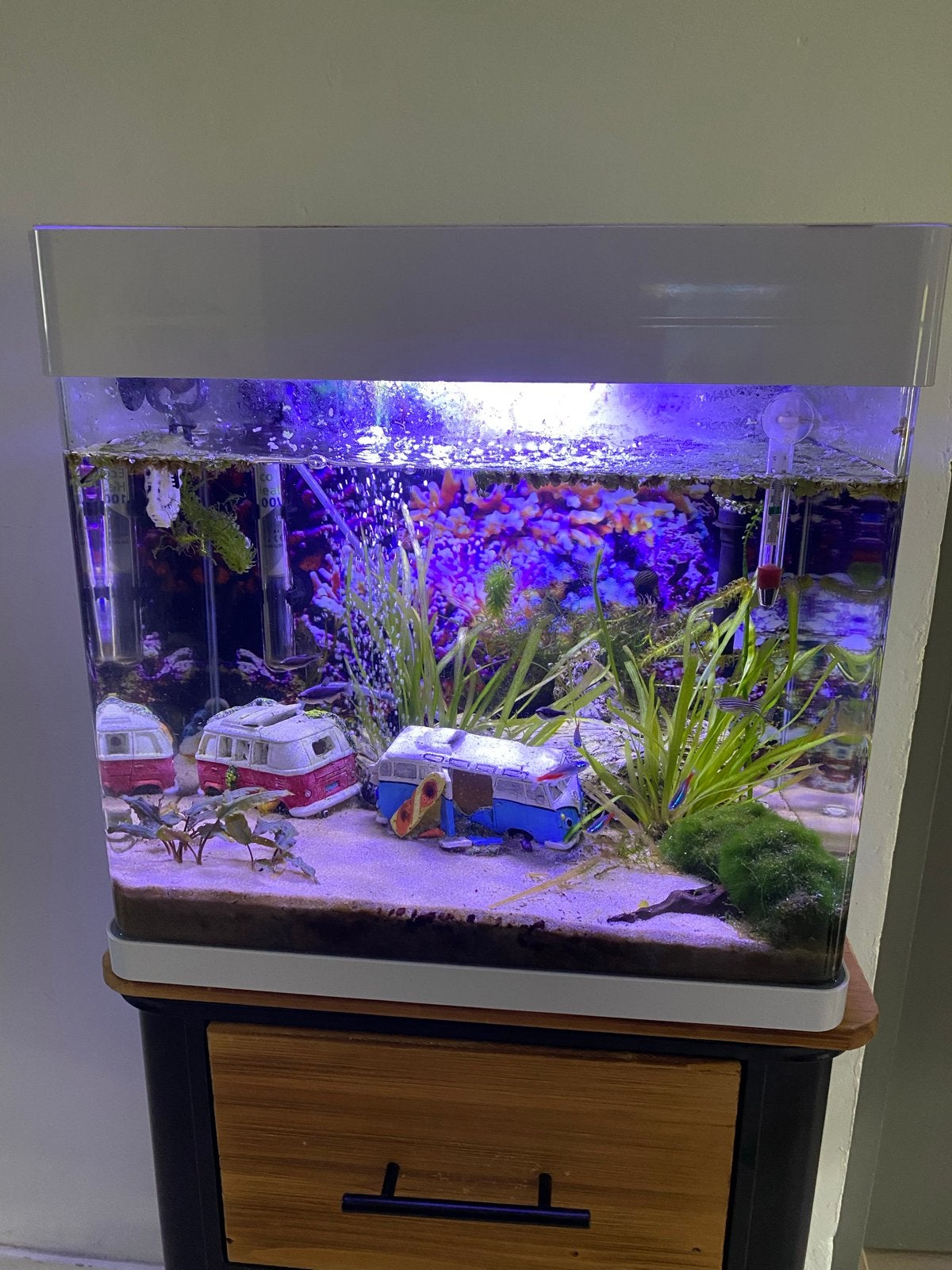Super fish aquarium, Dieren en Toebehoren, Ophalen of Verzenden