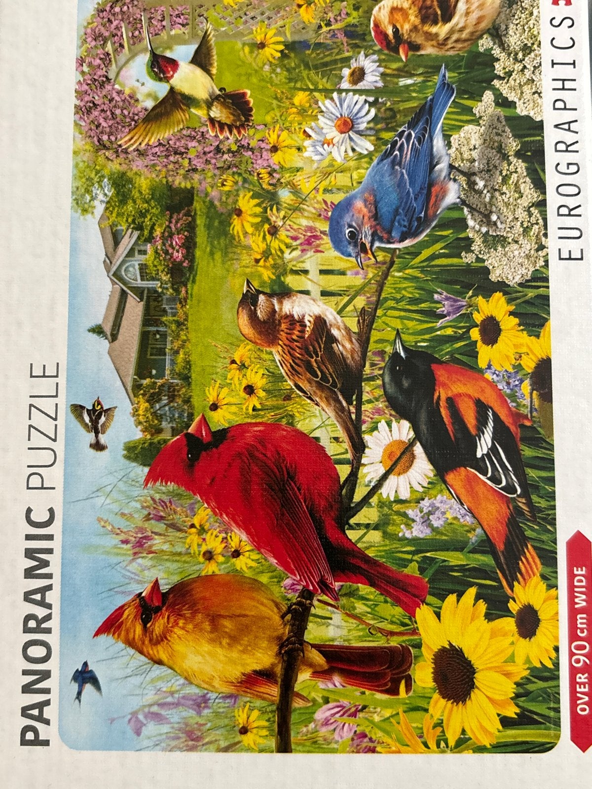 Eurographics Panoramische Legpuzzel 1000 stukjes - Tuinvogel, Een of twee spelers, Ophalen of Verzenden, Zo goed als nieuw